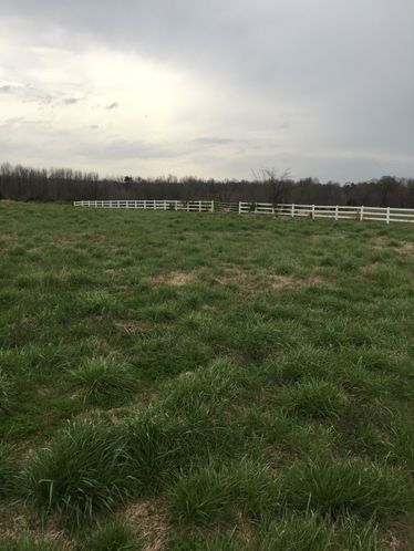 1 U.S. 49, Paragould, AR 72450